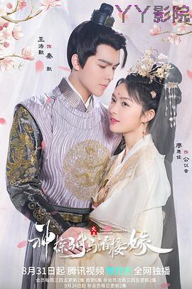 神探驸马请接嫁