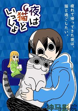 关于养猫我一直是新手