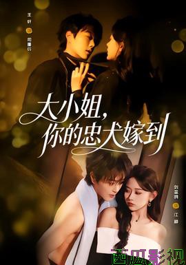 大小姐，你的忠犬嫁到